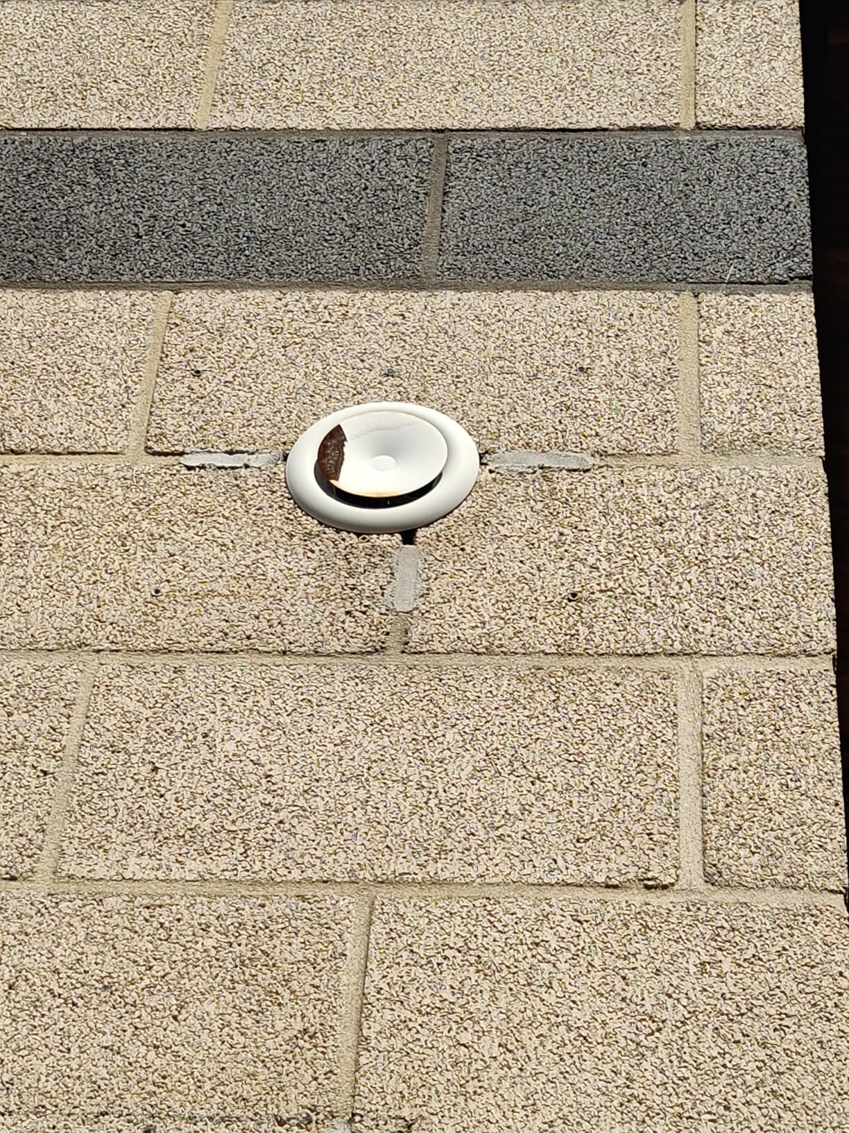 Schlicht